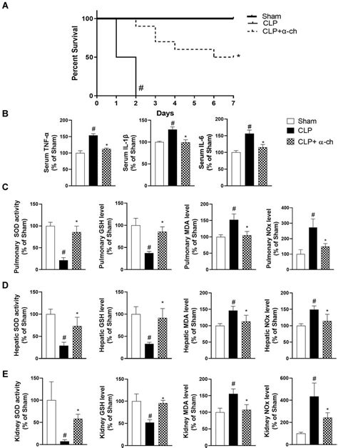 Effect of alpha-chymotrypsin treatment on survival, serum inflammatory ...