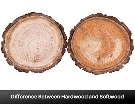 Difference Between Hardwood And Softwood