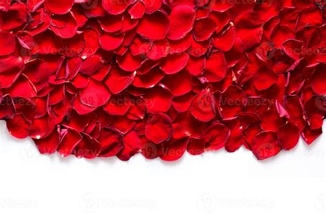 Red rose petals background, pattern. 7828031 Stock Photo at Vecteezy