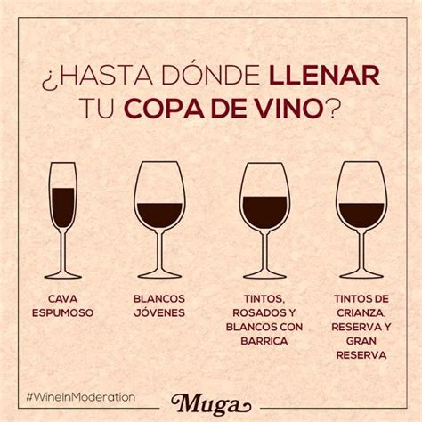 Cómo convertirte en un experto en vino Infografías El Cómo de las