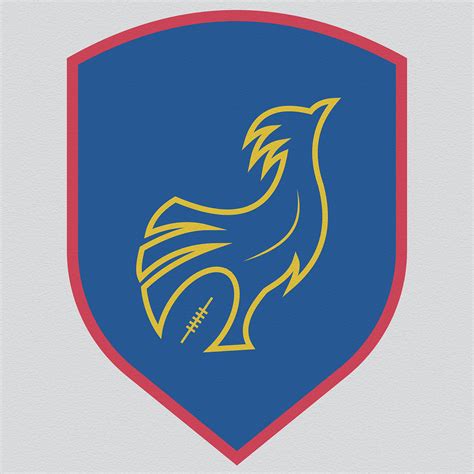 Six Nations Shields - France on Behance