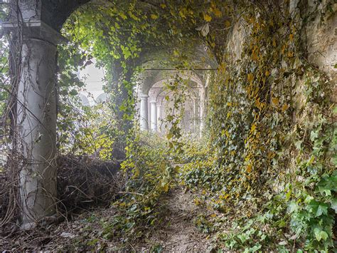 Flipboard: Abandoned buildings seen reclaimed by nature after humans ...