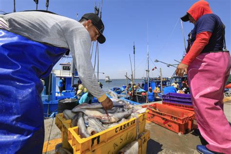 Donan 900 pruebas rápidas a pescadores artesanales de El Ñuro y Cabo Blanco