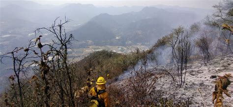 Por Provocar Incendios Forestales Hay Cinco Denuncias Y Tres Detenidos