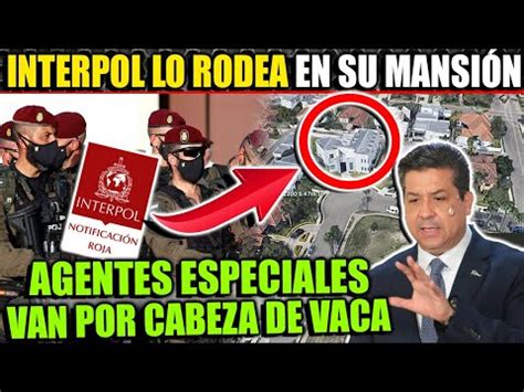 Ltima Hora Interpol Comienza Caceria De Cabeza De Vaca Lo Buscan