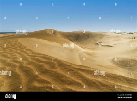 Magnifique Paysage De Dunes Dans La Réserve Naturelle De Maspalomas