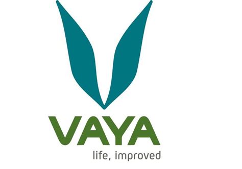 Vaya Life appoints Lowe Lintas to handle creative duties | Campaign India