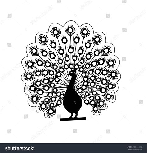 Nbc Peacock Black And White Clipart