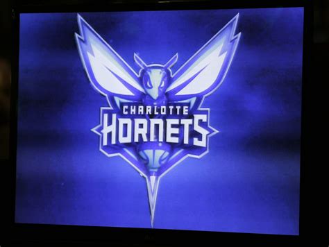 Charlotte Hornets Logo