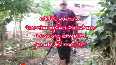 Ini Lah Seru Nya Pake Uklik Jawara 40 Meter Enjoy Aja Berburu Hama