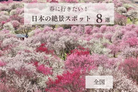 Lovetabi 旅に恋する情報マガジン 春に行きたい！日本の絶景スポット8選