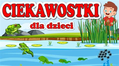 Ciekawostki O Zwierz Tach Dla Dzieci Cda