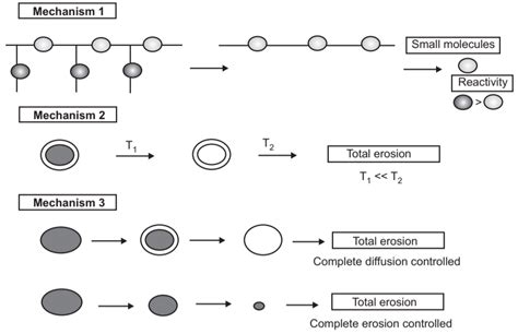 General Mechanism Of Drug Release From Polymer Solution Parmacy