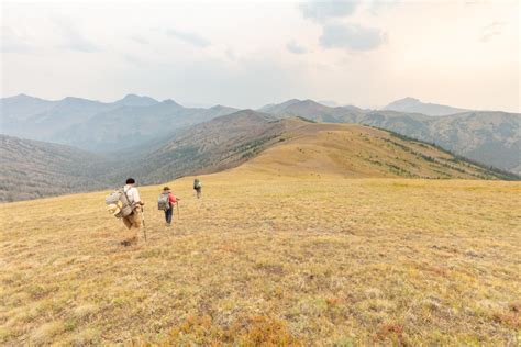 The Ultimate Guide to Shoshone National Forest - Alex on the Map