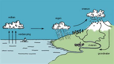 Water Graad 4 Flashcards Quizlet