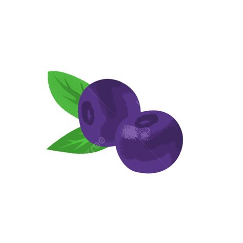 Vector De Arándano De Baya De Fruta De Dibujos Animados Png Agridulce Baya Bayas Png Y Psd