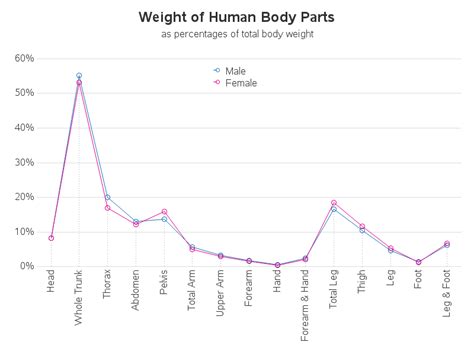 Human Body Part Weights