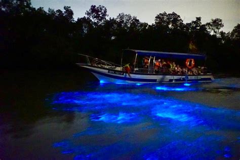 Blue Tears Boat Cruise In Kuala Selangor In Kuala Lumpur Pelago