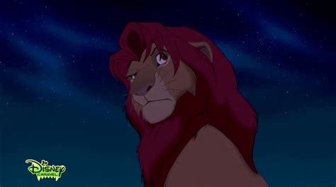 Lion King 1994-Simba 28 by Jaidenray on DeviantArt