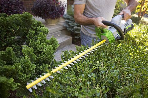 Best Hedge Trimmers Summer Reviews Buying Guide