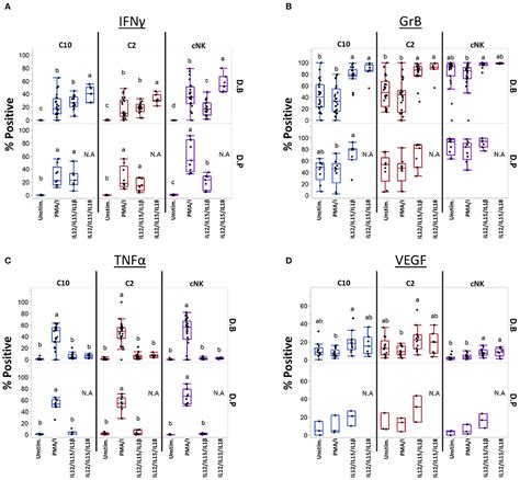 Frontiers Transcriptional And Functional Programming Of Decidual