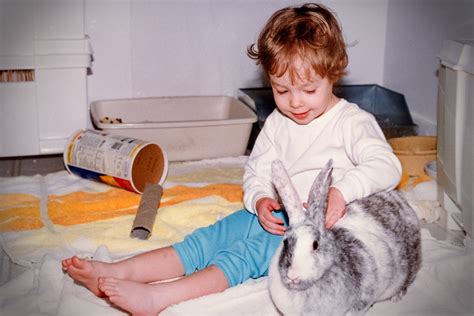 Rabbits and Children: Fostering Compassion at Home - Rabbit.org