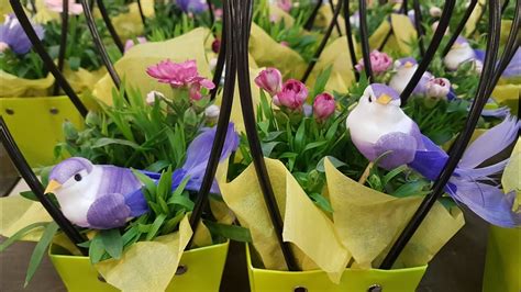 Огромное поступление растений в Гринвилль, Новосибирск. - YouTube