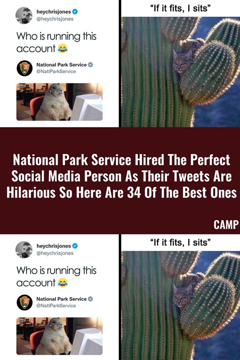 National Park Service Hired The Perfect Social Media Person As Their