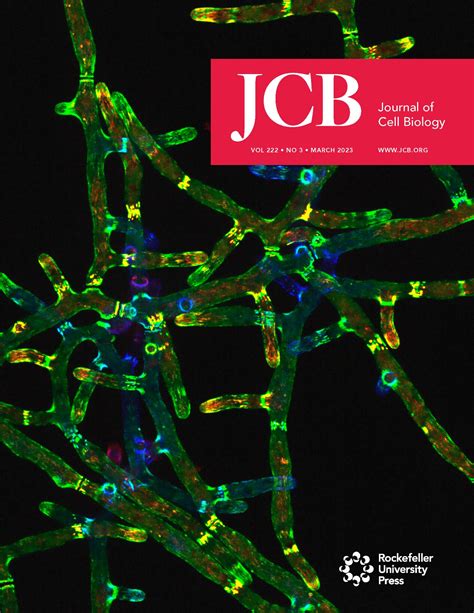 Journal Of Cell Biology Jcb Jcellbiolmstdnscience Mstdnscience