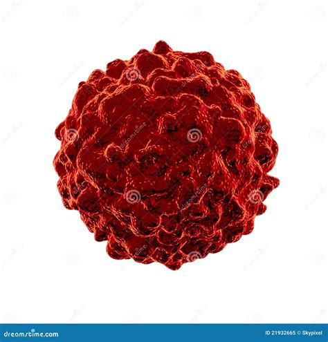 Cancer Cell Royalty Free Stock Photo Image 21932665