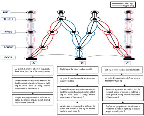 Figure From Walking Algorithm Using Gait Analysis For Humanoid Robot