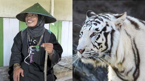 Fakta Fakta Sosok Joko Kendil Musafir Viral Ngaku Naik Harimau Putih