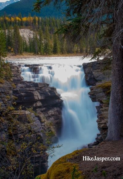 Hike Jasper - Athabasca Falls