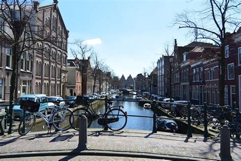 Haarlem : Haarlem Travel The Netherlands Europe Lonely Planet - Our top ...