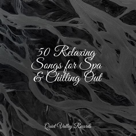 50 Relaxing Songs For Spa Chilling Out Album By Namaste Healing