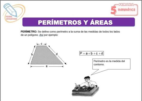 Fichas De Per Metros Y Reas Para Quinto De Primaria