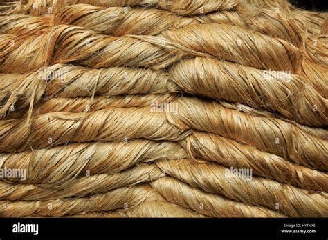 Jute Fibre