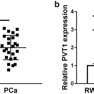 Inhibition Of KIF23 Blocked The Function Of KIF23 Knockdown In PCa