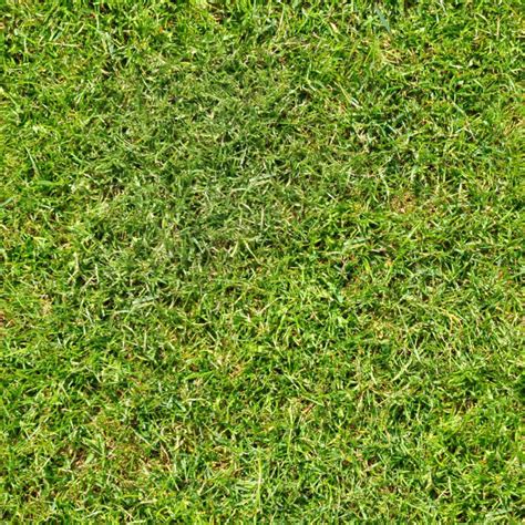 Short Green Grass Free Seamless Textures All Rights Reseved