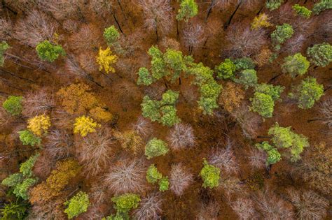 Germany Baden Wuerttemberg Swabian Franconian Forest Aerial View Of