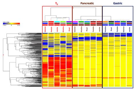 Unsupervised Hierarchical Cluster Analysis HCA For The Phytochemical