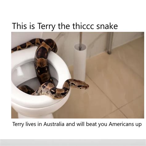 Funny Snake Memes