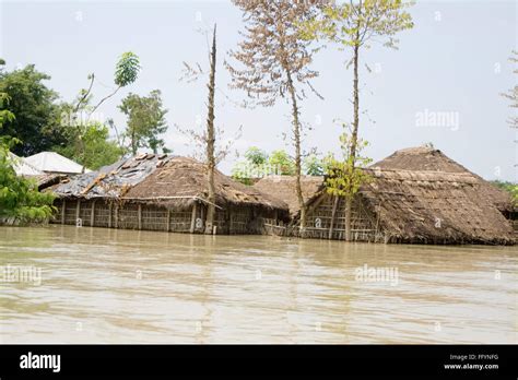 Flood of Bihar 2008 water of Kosi river in Purniya district , Bihar ...