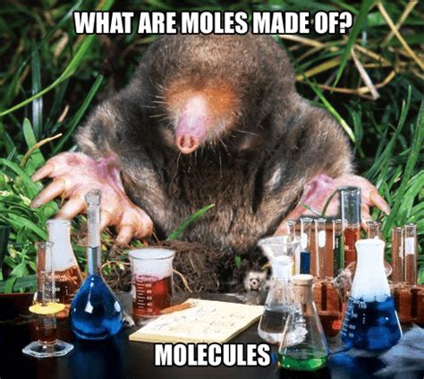 Fun Chemistry Mole Puns For Mole Day