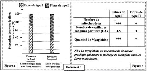 Examen National Session Rattrapage 2023 Sciences De La Vie Et De