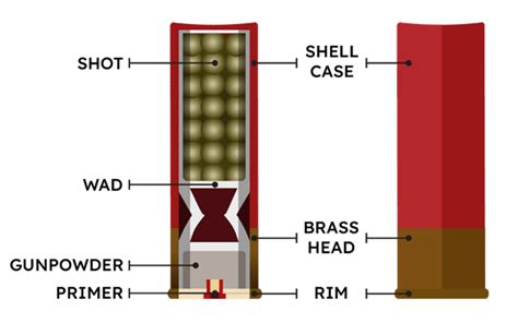 Best Choke For Buckshot Which Is Right For You