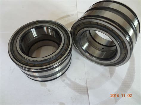 Full Complement Cylindrical Roller Bearing SL045008PP