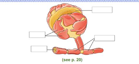 Chapter 1 Diagram | Quizlet 