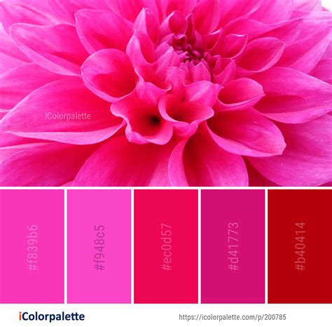 Color Palette Ideas Icolorpalette Colors Inspiration Graphics Design Inspiration