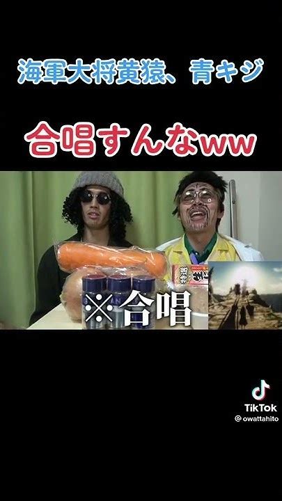 海軍大将黄猿、青キジ合唱！終わった人 Youtube